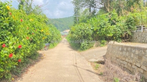 2 sào hẻm đường đèo mimosa đà lạt, gần cây xăng phúc sơn
