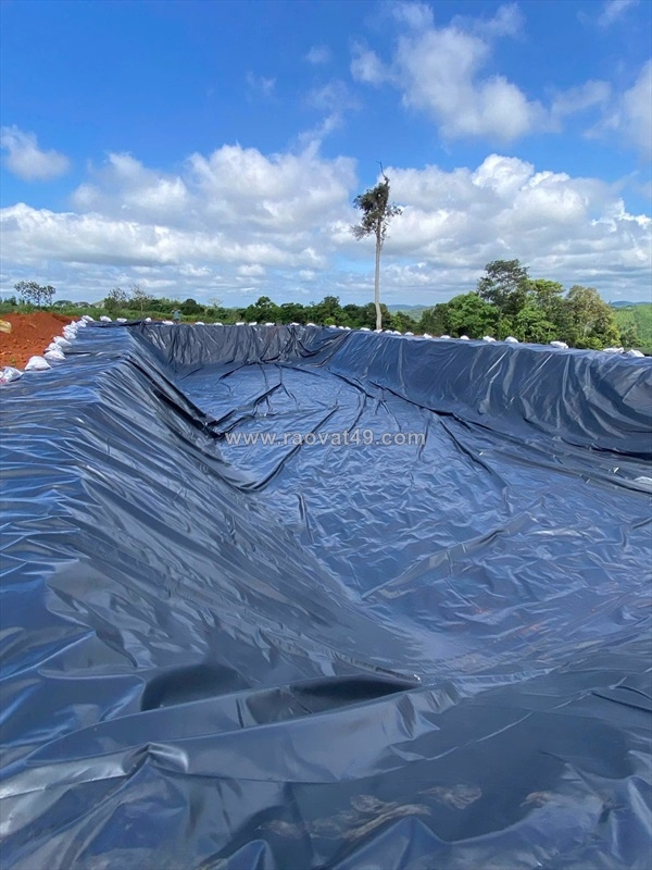~/Img/2026/7/bat-hdpe-dung-lam-ham-biogas-02.jpg