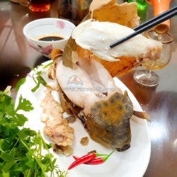 Cách chọn cá bò hòm thiên nhiên ngon