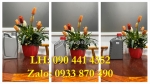 Can nhựa 5 lít đựng chất xúc tác, can nhựa 2 lít đựng chất dinh dưỡng, can nhựa 1 lít đựng chất bão hòa