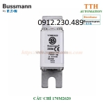 Cầu chì bussmann 170m2620 dual indication
