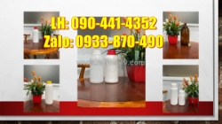 Chai lọ 100ml xịt keo, chai nhựa 250ml phun mực, chai đựng dung dịch rửa xe 500ml