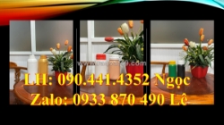 Chai nhựa 1 lít dày, chai miễng 500ml, chai nhựa 250ml đựng dụng dịch tẩy rửa mạnh
