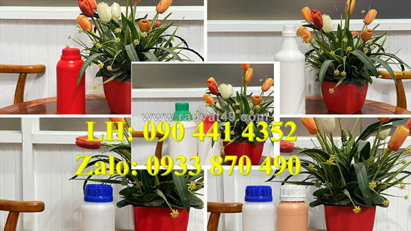 Chai nhựa 500ml đựng sữa tắm gội, chai nhựa 250ml có vòi nhấn đựng nước rửa tay