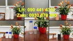 Chai nhựa 500ml đựng thuốc nhuộm, vỏ chai nhựa 250ml đựng mực in, chai thủy tinh 100ml đựng chất lỏng
