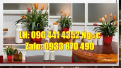 Chai nhựa 500ml hdpe trơn, chai thủy tinh cao cấp 500ml, bình nhựa 250ml siêu dày đựng axit