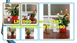Chai nhựa 50ml phun sương, chai xịt khô quần áo 100ml, chai nhựa 250ml đựng kem dưỡng da