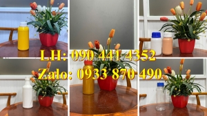 Chai thủy tinh 1 lít làm bình hoa, chai nhựa 500ml vuông, chai nhựa 250ml đựng sữa hạt