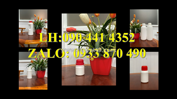 Chai thủy tinh 250ml đựng cồn 90, chai thủy tinh 100ml đựng si rô thảo dược, chai 100ml xịt họng