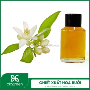 Chiết xuất hoa bưởi - nguyên liệu mỹ phẩm thiên nhiên