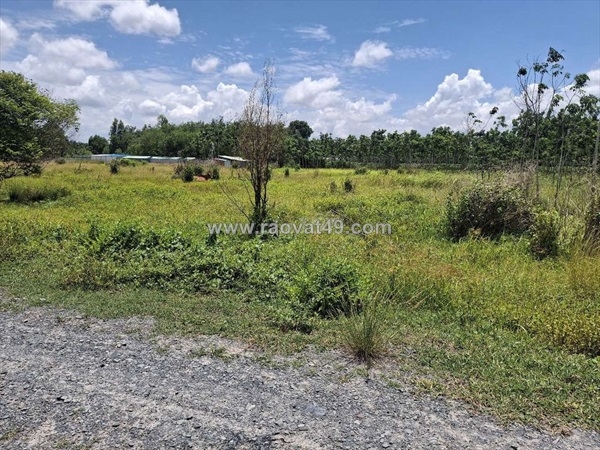 ~/Img/2026/7/chinh-chu-can-ban-lo-dat-nong-nghiep-10118m2-tai-chau-thanh-tay-ninh-01.jpg