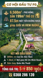 Cơ hội đầu tư fo 6.560m² - phủ hồng, sẵn 199m² thổ cư, chỉ 5.5 tỷ. lh:0368286139