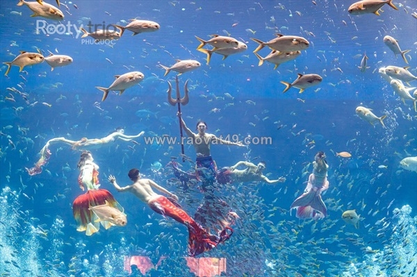 ~/Img/2026/7/combo-tour-phu-quoc-3n2d-vinpearl-choi-tron-vu-tru-vin-02.jpg