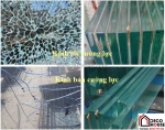 Cửa kính cường lực có phù hợp làm cửa chính không?
