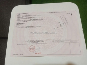 Đất đẹp - giá tốt - cần bán nhanh lô đất tại an bình, phú giáo, bình dương