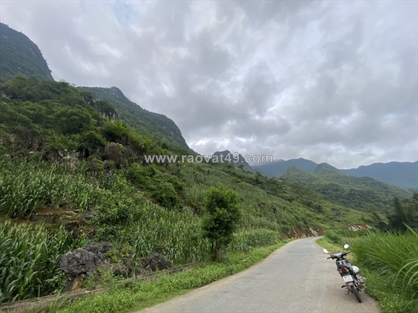~/Img/2026/7/dat-dep-lam-nha-hang-khach-san-khu-du-lich-tai-ha-giang-3800m2-28-ty-lh0985836678-01.jpg