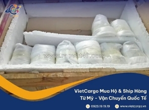 Địa chỉ uy tín chuyên dịch vụ gửi đồ gốm sứ sang mỹ nhanh chóng và an toàn