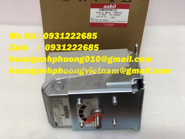 Động cơ truyển động điều khiển ecm3000g913c azbil