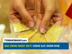 Giá vàng hôm nay 20/7/2026: vàng sjc giảm về sát 147 triệu/lượng