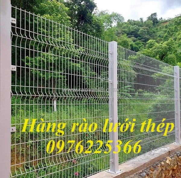 ~/Img/2026/7/hang-rao-luoi-thep-han-tai-thanh-hoa-02.jpg