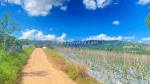 Hẻm phúc thọ, lâm hà, lâm đồng - 7.500m2