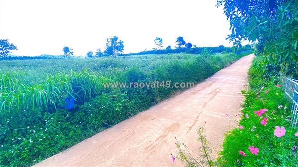 Hẻm phúc thọ, lâm hà, lâm đồng - 7.500m2