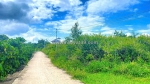 Hẻm ql27, cây số 5, n'thôn hạ, đức trọng cũ, lâm đồng