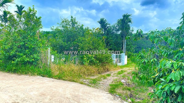 Hẻm ql27, cây số 5, n'thôn hạ, đức trọng cũ, lâm đồng