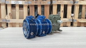 Hộp giảm tốc chính hãng thành thái motor - đủ size, đủ tỷ số truyền (nmrv, wp, zq, cycloid) - hàng sẵn kho