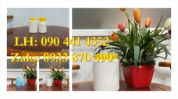 Hộp nhựa 0.5 ký vuông đựng thực phẩm thú y, hủ nhựa 1 ký đựng hạt dinh dưỡng