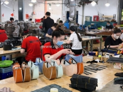Hợp tác kinh doanh cùng trường chinh- xtc