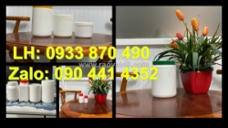 Hủ nhựa 1 ký đựng trà, hủ nhựa 500g đựng kẹo, hủ nhựa 250g đựng thuốc tây