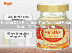 Hướng dẫn khai báo thủ tục xuất khẩu nước tổ yến đóng hủ