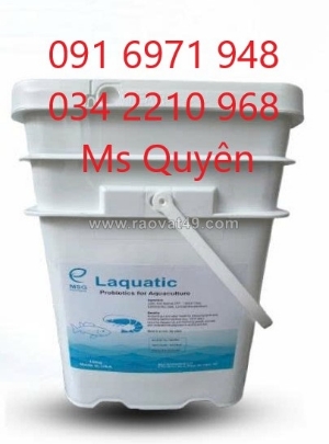 Men tiêu hóa lactobacillus cho tôm cá của mỹ laquatic