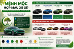 Mệnh mộc hợp màu xe gì? cách chọn màu xe hợp phong thủy thu hút tài lộc