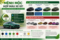 Mệnh mộc hợp màu xe gì? cách chọn màu xe hợp phong thủy thu hút tài lộc
