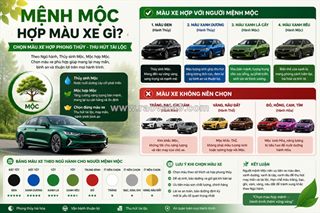 Mệnh mộc hợp màu xe gì? cách chọn màu xe hợp phong thủy thu hút tài lộc