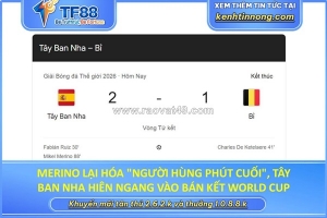 Merino lại hóa 