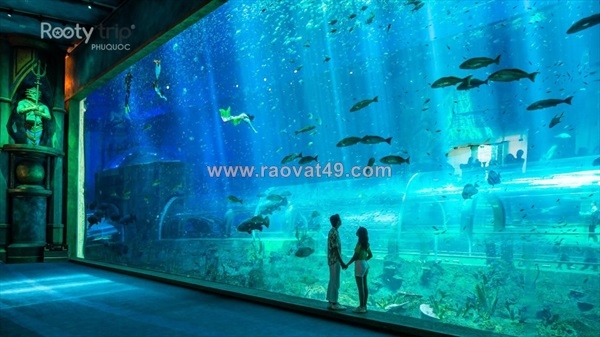 ~/Img/2026/7/nghi-duong-phu-quoc-4n3d-lich-trinh-toi-uu-cho-gia-dinh-va-ban-be-01.jpg