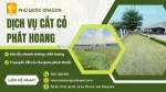 Nhận cắt cỏ nhà xưởng, đất trống, biệt thự tại khu vực đồng nai, hcm, vũng tàu