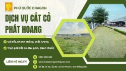 Nhận cắt cỏ nhà xưởng, đất trống, biệt thự tại khu vực đồng nai, hcm, vũng tàu