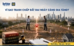 Những nguyên nhân phổ biến dẫn đến tranh chấp đất đai