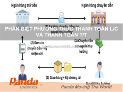 Phân biệt phương thức thanh toán l/c và thanh toán t/t