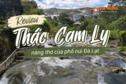 Review thác cam ly - nàng thơ của phố núi đà lạt