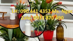 Sản xuất chai nhựa 1 lít đựng axit, chai nhựa 500ml, chai tròn 250ml, lọ nhựa 100ml chiết axit
