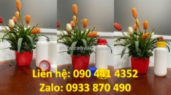 Sỉ - lẻ chai nhựa 250ml, chai thủy tinh 100ml đựng tinh dầu bưởi, lọ thủy tinh 50ml chiết mẫu thử