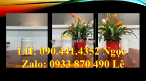 Sx hủ nhựa 500g đựng phân bón, hủ nhựa 250g đựng hạt giống, hủ nhựa 100g đựng chất dính