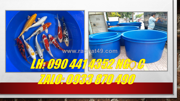 Thùng nhựa 100 lít hình chữ nhật, thùng nhựa chữ nhật 300 lít, thùng nhựa chữ nhật 500l trồng sen