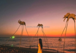 Tour phú quốc 3n2đ cho người lần đầu: miễn phí flycam
