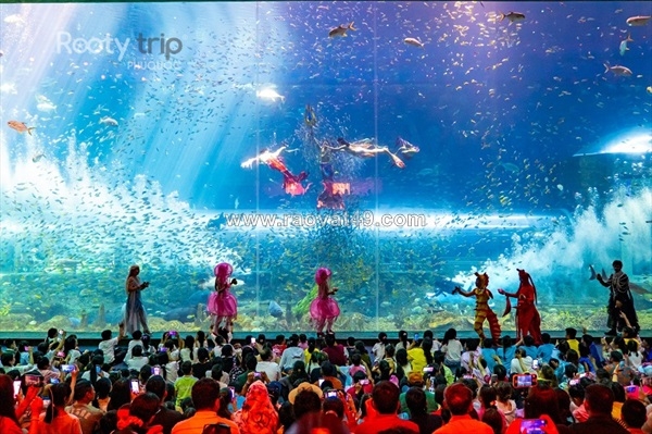 ~/Img/2026/7/tour-phu-quoc-3n2d-vinwonders-cap-treo-di-gon-dao-ngoc-3-ngay-01.jpg